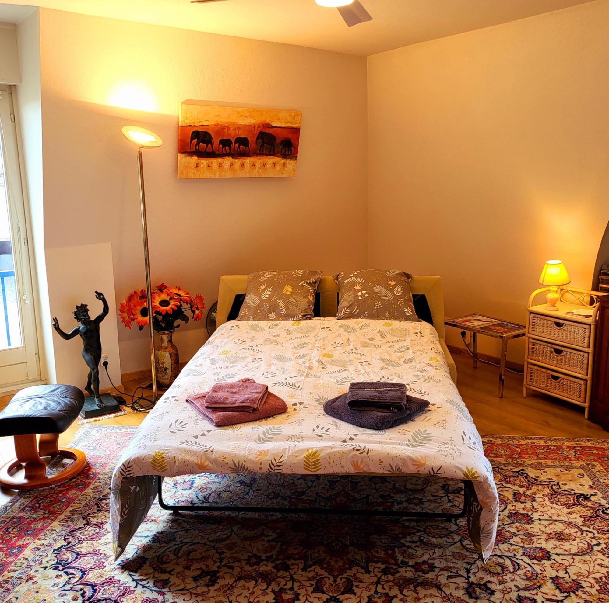 L' Belle Vue Gare Et Centre 10 Mn A Pied Garage Gratuit Apartment Colmar